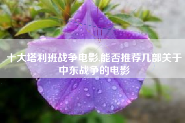 十大塔利班战争电影,能否推荐几部关于中东战争的电影