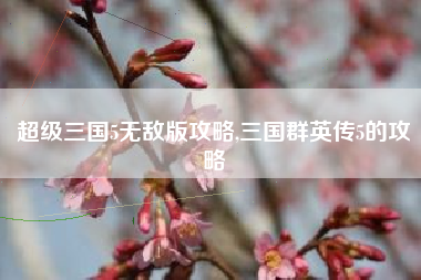 超级三国5无敌版攻略,三国群英传5的攻略