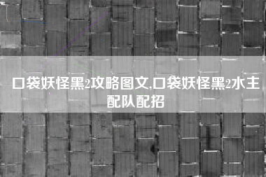 口袋妖怪黑2攻略图文,口袋妖怪黑2水主配队配招
