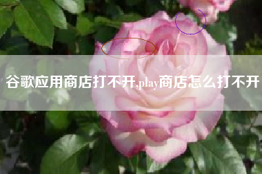 谷歌应用商店打不开,play商店怎么打不开