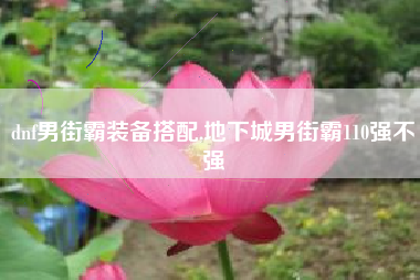 dnf男街霸装备搭配,地下城男街霸110强不强