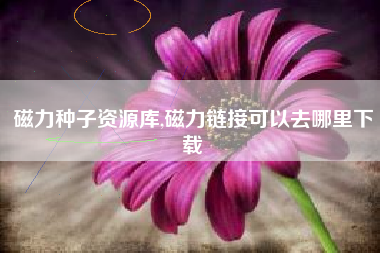 磁力种子资源库,磁力链接可以去哪里下载