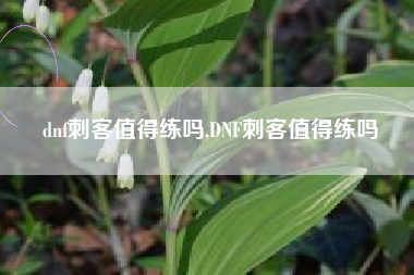dnf刺客值得练吗,DNF刺客值得练吗