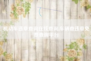 机动车违章查询在线查询,车辆查违章免费查询平台