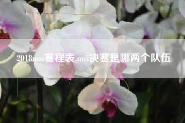 2018msi赛程表,msi决赛是哪两个队伍