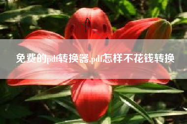 免费的pdf转换器,pdf怎样不花钱转换