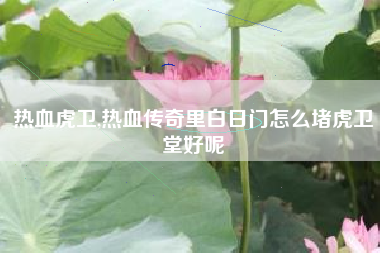热血虎卫,热血传奇里白日门怎么堵虎卫堂好呢
