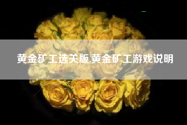 黄金矿工选关版,黄金矿工游戏说明