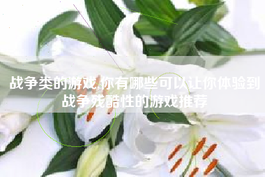 战争类的游戏,你有哪些可以让你体验到战争残酷性的游戏推荐