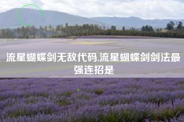 流星蝴蝶剑无敌代码,流星蝴蝶剑剑法最强连招是