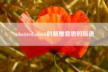 admitted,admit的新增意思的短语