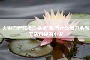 火影忍者究极风暴4配置,有什么看开头就无法自拔的小说