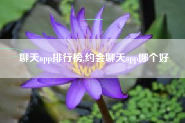 聊天app排行榜,约会聊天app哪个好