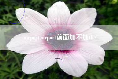 airport,airport前面加不加the