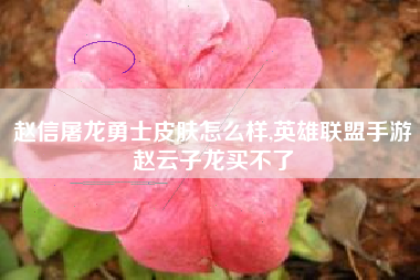 赵信屠龙勇士皮肤怎么样,英雄联盟手游赵云子龙买不了