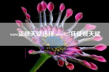 wow盗贼天赋选择,wow927狂徒贼天赋