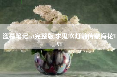 盗墓笔记txt完整版,求鬼吹灯前传藏海花TXT
