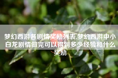 梦幻西游各剧情奖励列表,梦幻西游中小白龙剧情做完可以得到多少经验和什么奖励