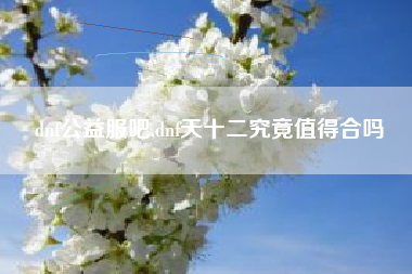 dnf公益服吧,dnf天十二究竟值得合吗
