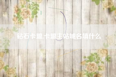 钻石卡盟,卡盟主站域名填什么