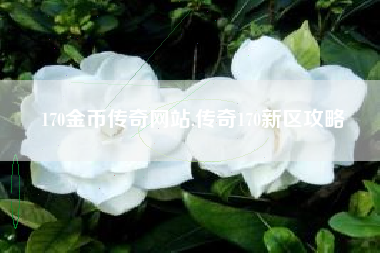 170金币传奇网站,传奇170新区攻略