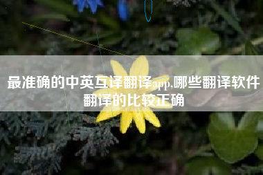 最准确的中英互译翻译app,哪些翻译软件翻译的比较正确