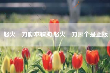 怒火一刀脚本辅助,怒火一刀哪个是正版