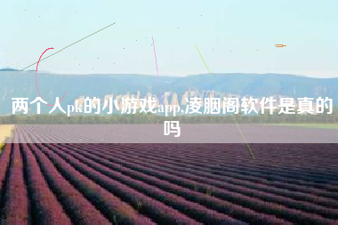 两个人pk的小游戏app,凌胭阁软件是真的吗