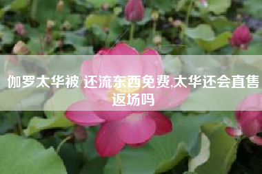 伽罗太华被 还流东西免费,太华还会直售返场吗