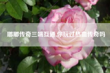 嘟嘟传奇三端互通,你玩过热血传奇吗