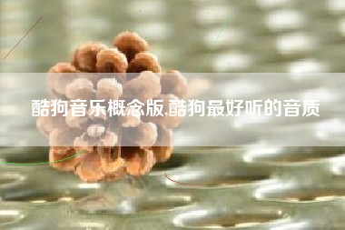 酷狗音乐概念版,酷狗最好听的音质