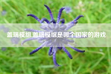 盖瑞模组,盖瑞模组是哪个国家的游戏