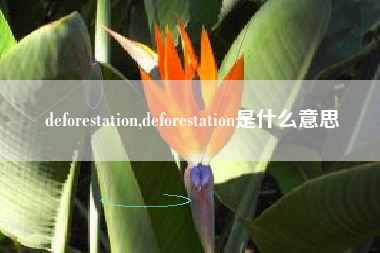 deforestation,deforestation是什么意思