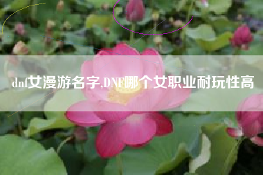 dnf女漫游名字,DNF哪个女职业耐玩性高