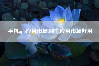 手机app应用市场,哪个应用市场好用