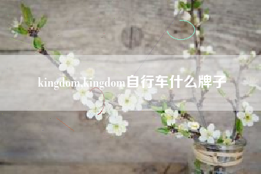 kingdom,kingdom自行车什么牌子