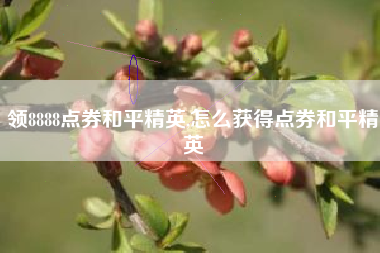 领8888点券和平精英,怎么获得点券和平精英