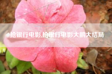 抢银行电影,抢银行电影大鹏大结局