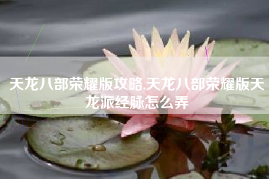 天龙八部荣耀版攻略,天龙八部荣耀版天龙派经脉怎么弄