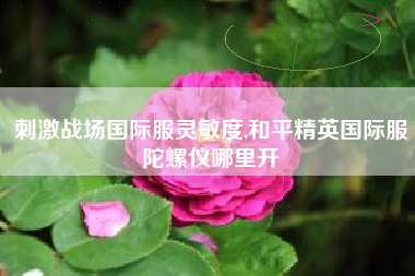 刺激战场国际服灵敏度,和平精英国际服陀螺仪哪里开