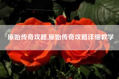 原始传奇攻略,原始传奇攻略详细教学