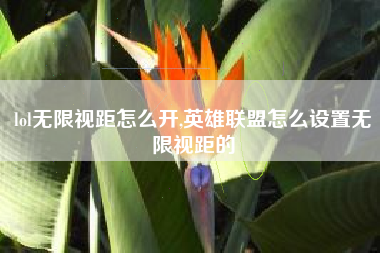 lol无限视距怎么开,英雄联盟怎么设置无限视距的