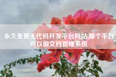 永久免费无代码开发平台网站,哪个平台可以做文档管理系统