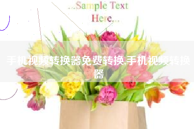 手机视频转换器免费转换,手机视频转换器
