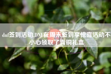 dnf签到活动,DNF在周末签到享惊喜活动不小心领取了青铜礼盒