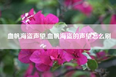 血帆海盗声望,血帆海盗的声望怎么刷