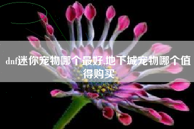 dnf迷你宠物哪个最好,地下城宠物哪个值得购买