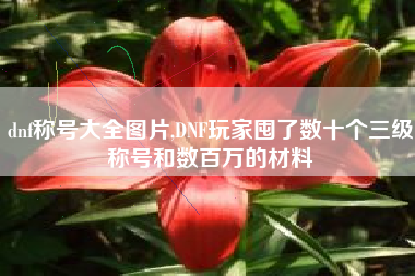 dnf称号大全图片,DNF玩家囤了数十个三级称号和数百万的材料