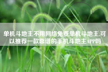 单机斗地主不用网络免费单机斗地主,可以推荐一款靠谱的手机斗地主APP吗