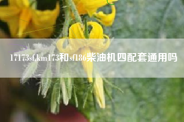 17173sf,km173和sf186柴油机四配套通用吗